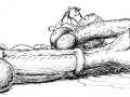 a_1239528325639_spring30.jpg